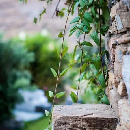 Palatiana Agriturismo, Deluxe Private Retreat Neoni Naxos City