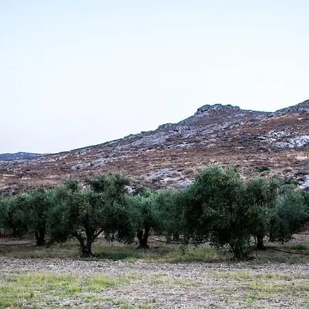 Nyaraló 